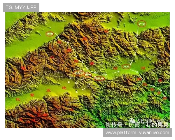 杭州排球队防守体系解析与战术创新探讨
