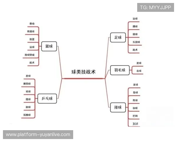 深圳篮球队配合表现的数据分析与战术优化研究 深圳篮球队配合表现的数据分析与战术优化研究